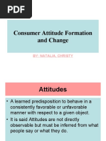 Consumer Attitude Formation and Change