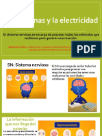 Semana 28 Grado 1°