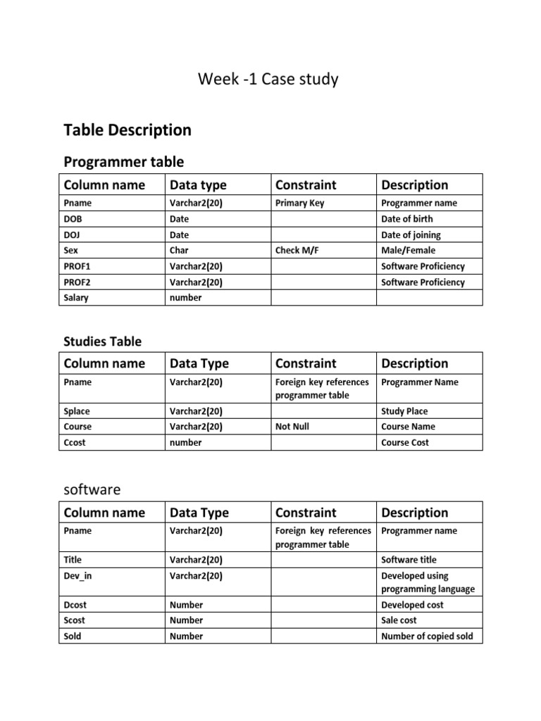 Table Description Week 1 Case Study PDF Programmer Software