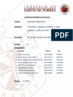 Informe S1-Grupo 01 - Rubro Práctica Anatomía Ii