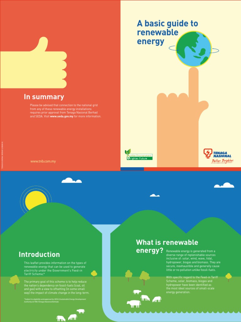 Renewable Energy Guide for Malaysians | PDF | Renewable Energy | Biomass