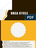 Urea Cycle: by Mubashir Amjad