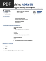 Exemple De Cv En Pdf Gratuit Pdf Portable Document Format Microsoft Word