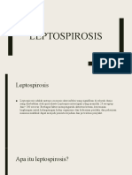 21 Leptosporosis