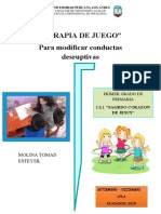 TERAPIA DE JUEGO progrma.docx
