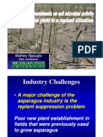 010 Mathieu Ngouajio - Effect of Soil Amendments On Soil Microbial Activity and Asparagus Yield I