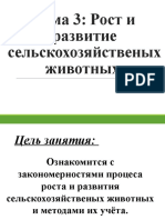 Tema 3 LLВыращивание