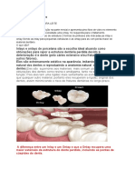 Portifòlio Clìnica PDF