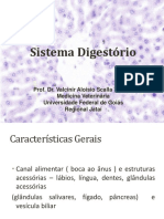 sistema_digestório_exer_isadora.pdf