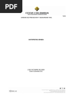 COTIZACION CESVI-CURSO AUDITOR.pdf