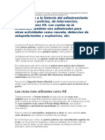 kp9.docx