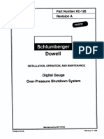 Dowell Digital Gauge