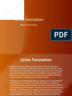 Urine Formation: Mohamad Ashraf Ismail