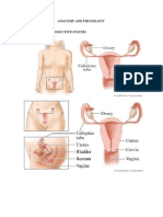 The Female Reproductive Anatomy Guide