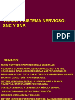 Sistema Nervioso Periférico y Central