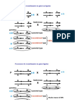 Clase 6 Genes Ligados y Herencia No Mendeliana PDF