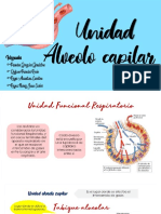 Unidad Alveolo Capilar