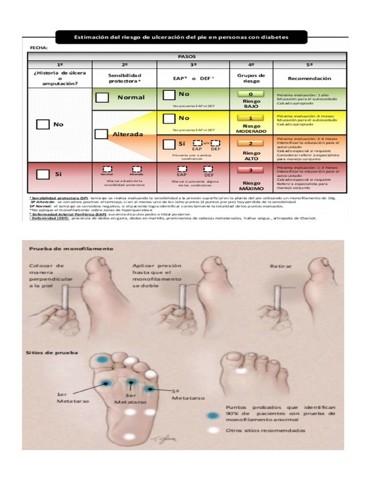 Evaluacion Pie Diabetico PDF