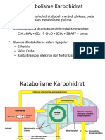 Metabolisme Karbohidrat - En.id