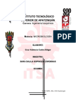 Microbiologia Examen U4