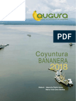 COYUNTURA-BANANERA-2018.pdf