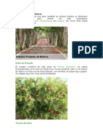 Árboles frutales de Bolivia