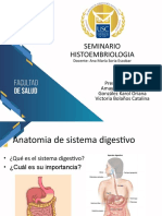 Correcciones GA Tubo Digestivo