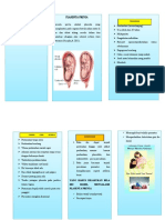 Leaflet Plasenta Previa