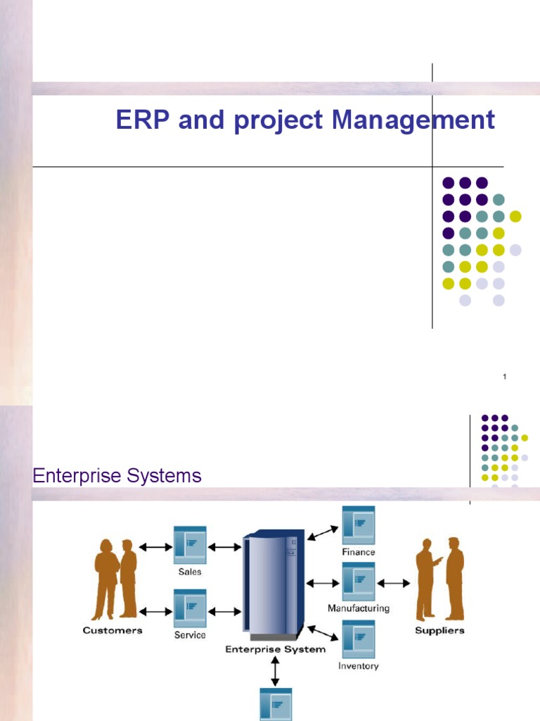 ERP Project Management Insights | PDF | Enterprise Resource Planning ...