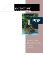 Informe 6-Aislamiento de Agrobacterium