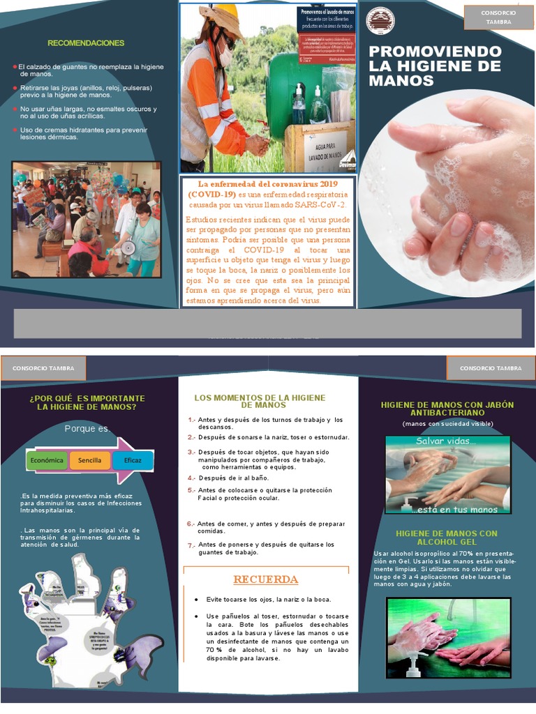 Tríptico sobre Higiene de Manos | PDF | Lavado de manos | Salud pública