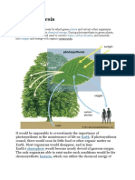 Photosynthesis: Plants Light Chemical Energy Energy Water Carbon Dioxide Oxygen