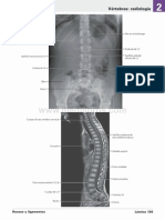 Atlas de Anatomia Humana Netter 6ed Medilibros - Com 91