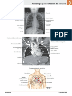 Atlas de Anatomia Humana Netter 6ed Medilibros - Com 120
