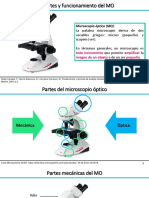 Microscopio Óptico