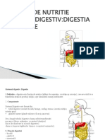 S. Digestiv-Digestia