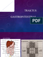 Traktus Gastrointestinal