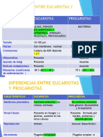 Diferencias de Celulas y Morfologia Celular