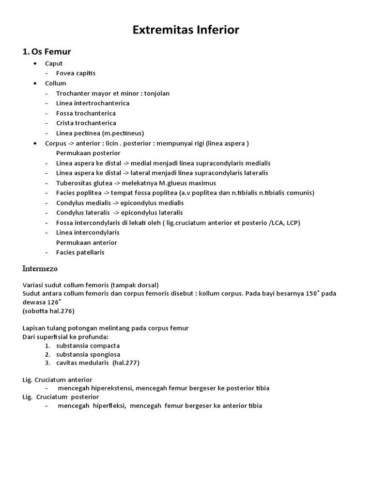 Anatomi Extremitas Inferior Manusia | PDF