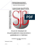 PV PLAN DE TRABAJO DE PRACTICA DE PLANTEAMINETO DX QX I Virtual 2020 II