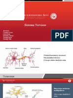 Sistema Nervioso Propedeutica (Corregido)