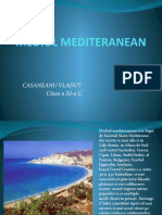 Mediul Mediteranean Casaneanu Vladut