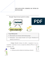 itemi_Manolescu.pdf