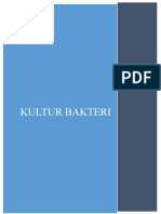 Kultur Bakteri