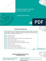 Capacitacion Estrategia Iamii PDF