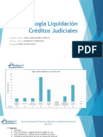 Metodología Liquidación Créditos Judiciales