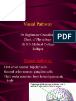 Viusal Pathway: DR Raghuveer Choudhary Dept. of Physiology DR S.N.Medical College Jodhpur