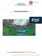 GUIA GR 4.NATURALES 3CER PERIDO okOK.pdf