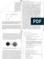 Cap 14 Juan Delval - El Desarrollo Humano PDF