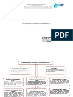 Esquema de Derecho Probatorio I